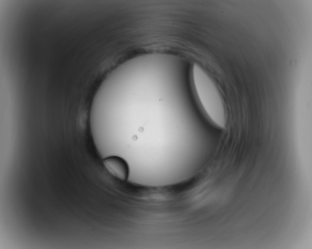 X0000099990652200805231045