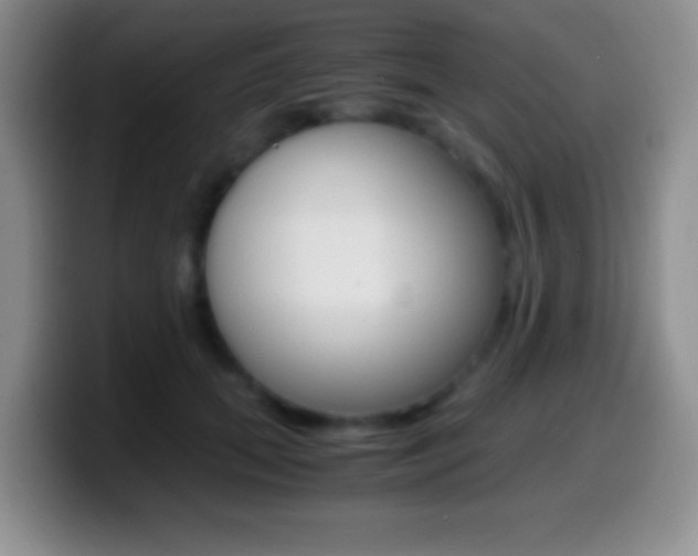 X0000099990655200805231045