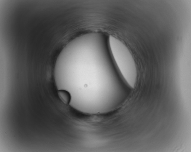 X0000099990656200805231045