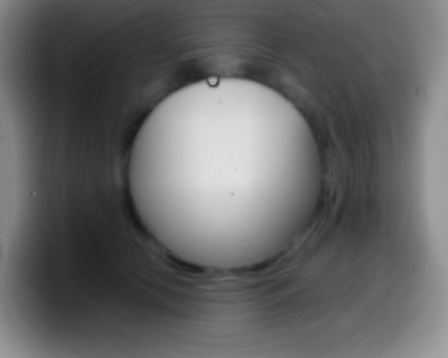 X0000099990658200805231045