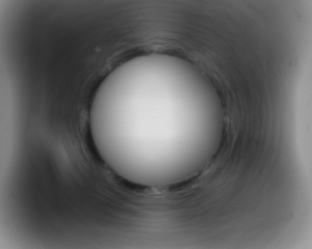 X0000099990660200805231045