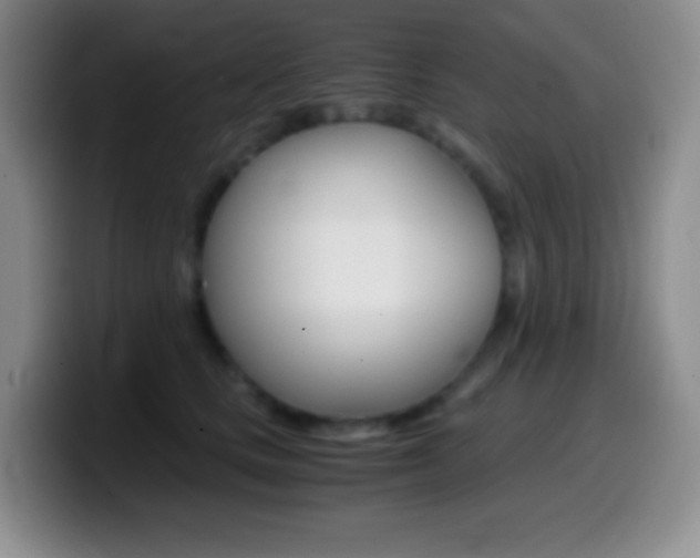 X0000099990661200805231045