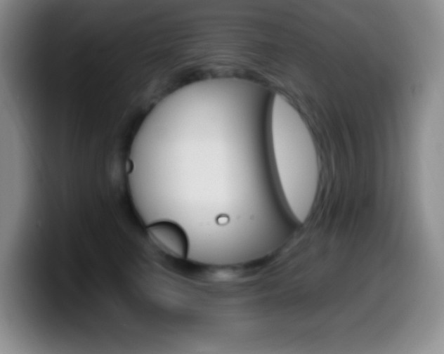 X0000099990662200805231045