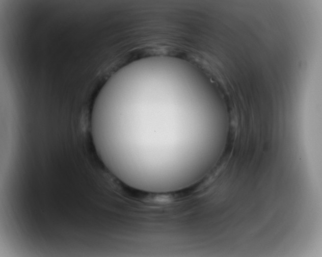 X0000099990665200805231045