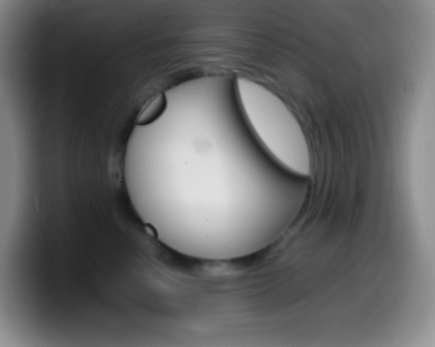 X0000099990666200805231045