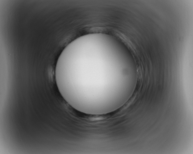 X0000099990669200805231045
