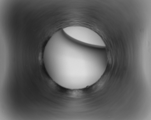 X0000099990670200805231045