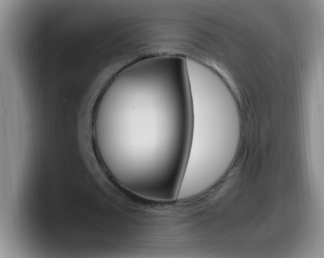 X0000099990673200805231044