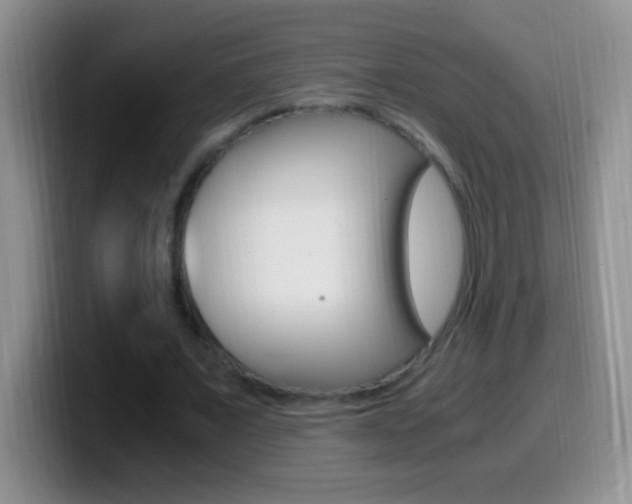 X0000099990675200805231044