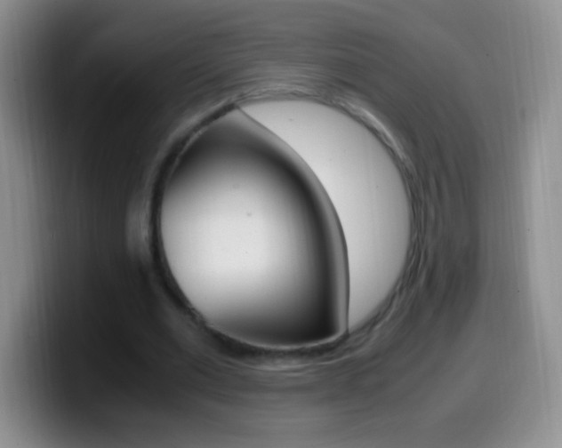 X0000099990677200805231044