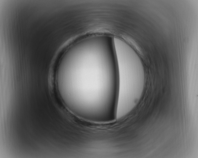 X0000099990680200805231044
