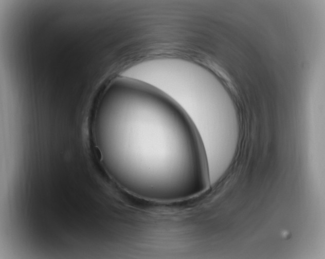 X0000099990681200805231044