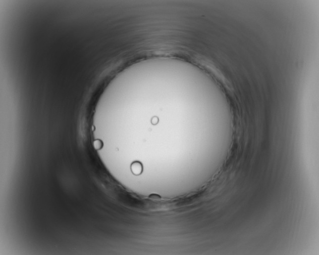 X0000099990683200805231044