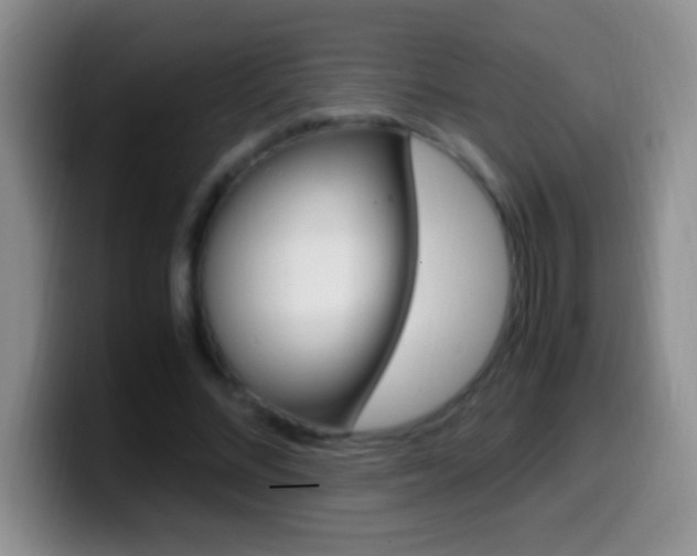 X0000099990684200805231044