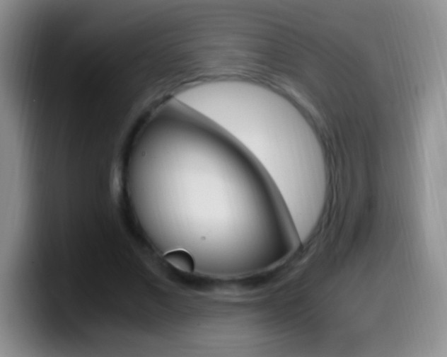 X0000099990685200805231044