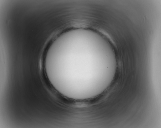 X0000099990686200805231044