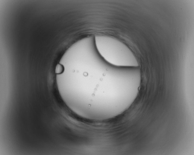 X0000099990691200805231044