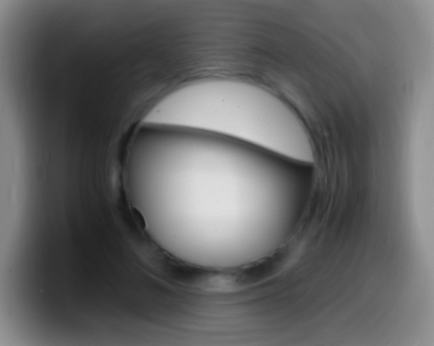 X0000099990692200805231044