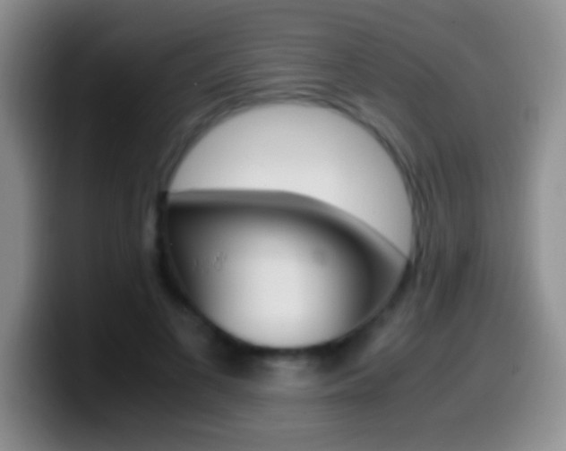 X0000099990693200805231044