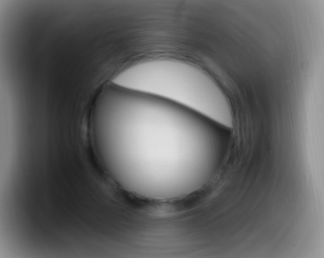 X0000099990696200805231044