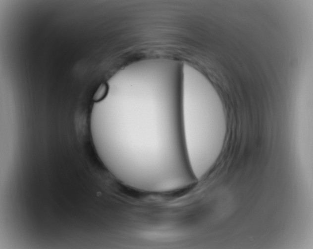 X0000099990699200805231044