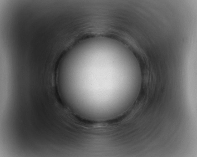 X0000099990700200805231044