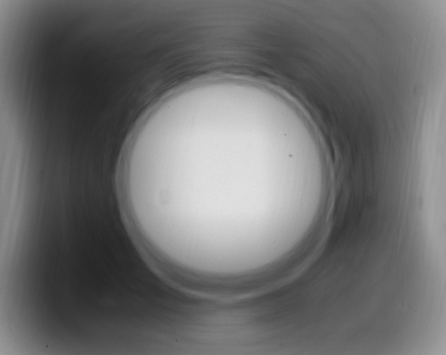 X0000099990701200805231044