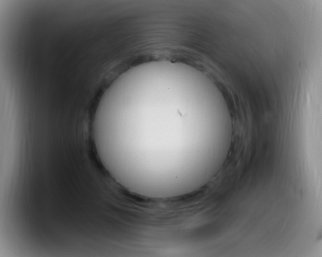 X0000099990702200805231044
