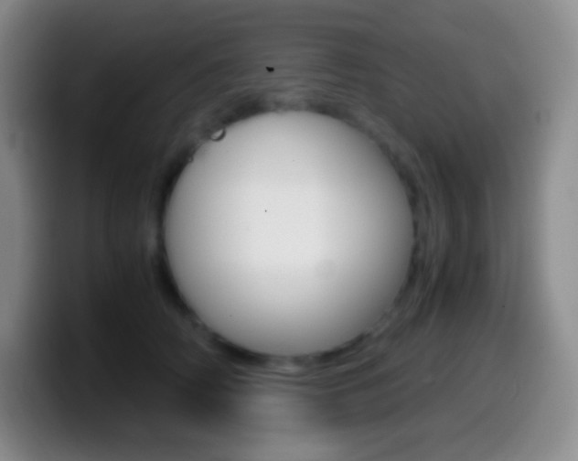 X0000099990706200805231044