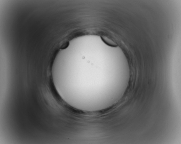 X0000099990707200805231044