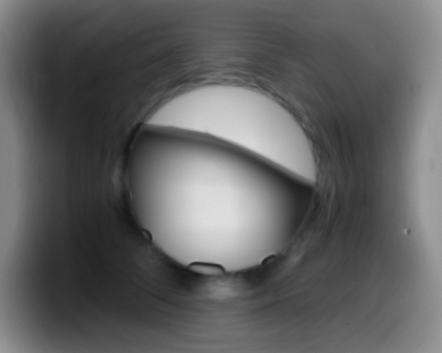 X0000099990708200805231044