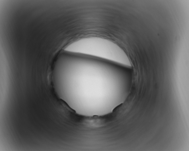 X0000099990712200805231044