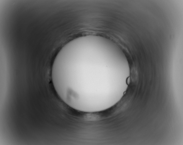 X0000099990714200805231044