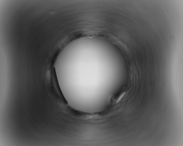 X0000099990716200805231044