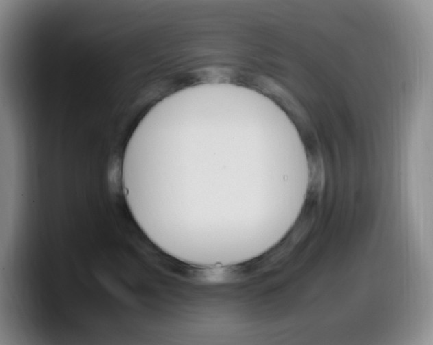 X0000099990717200805231044