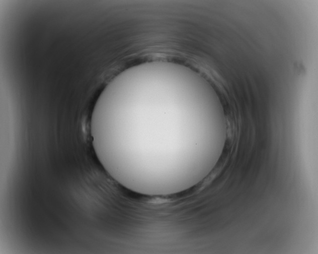 X0000099990718200805231044