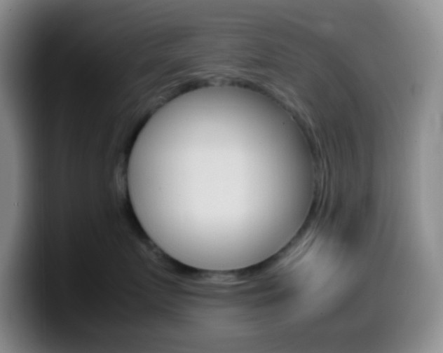 X0000099990719200805231044