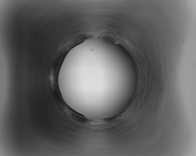 X0000099990720200805231044