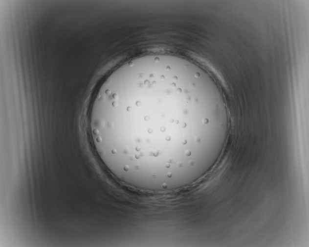X0000099990721200805231043