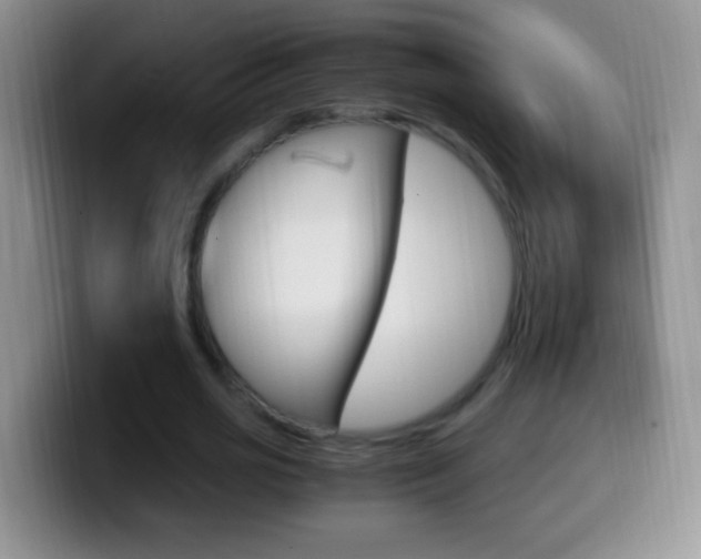 X0000099990725200805231043