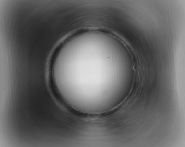 X0000099990728200805231043