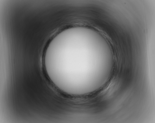 X0000099990729200805231043