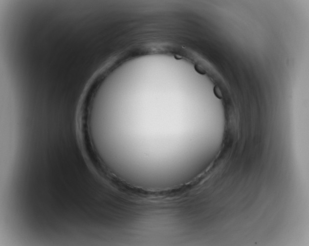 X0000099990730200805231043