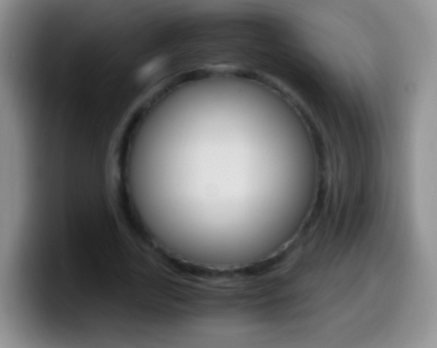 X0000099990731200805231043