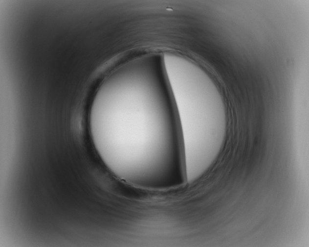 X0000099990732200805231043