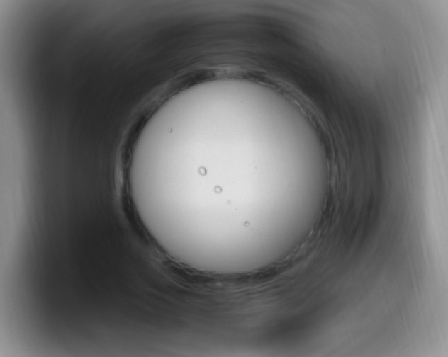 X0000099990733200805231043
