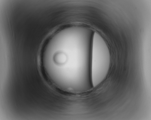 X0000099990734200805231043