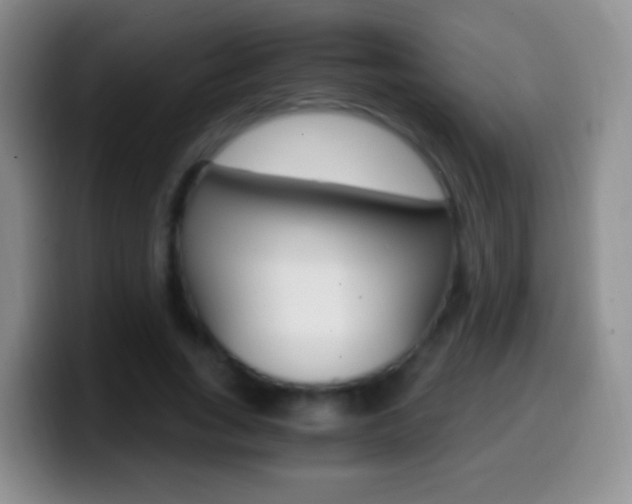 X0000099990735200805231043