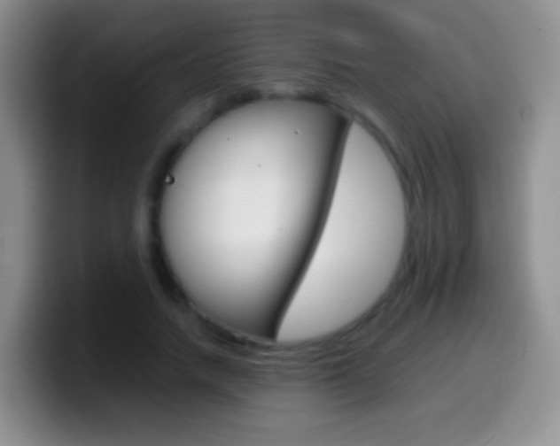 X0000099990738200805231043