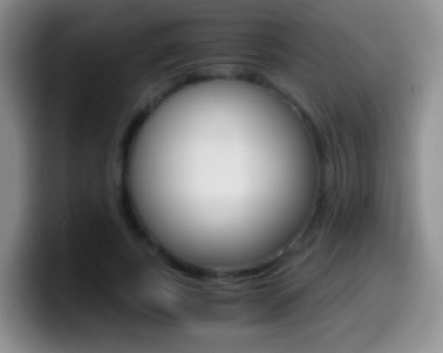 X0000099990739200805231043